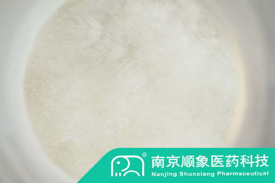Hydrazinecarboxylicacid,11-dimethylethylester CAS-nummer 870-46-2 99%